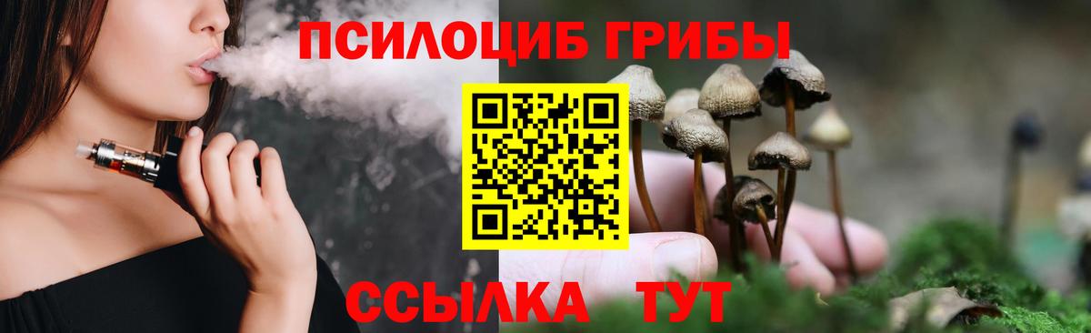 Псилоцибиновые грибы прущие грибы  Вход с VPN  наркошоп  Сланцы  Псилоцибиновые грибы Magic Shrooms 